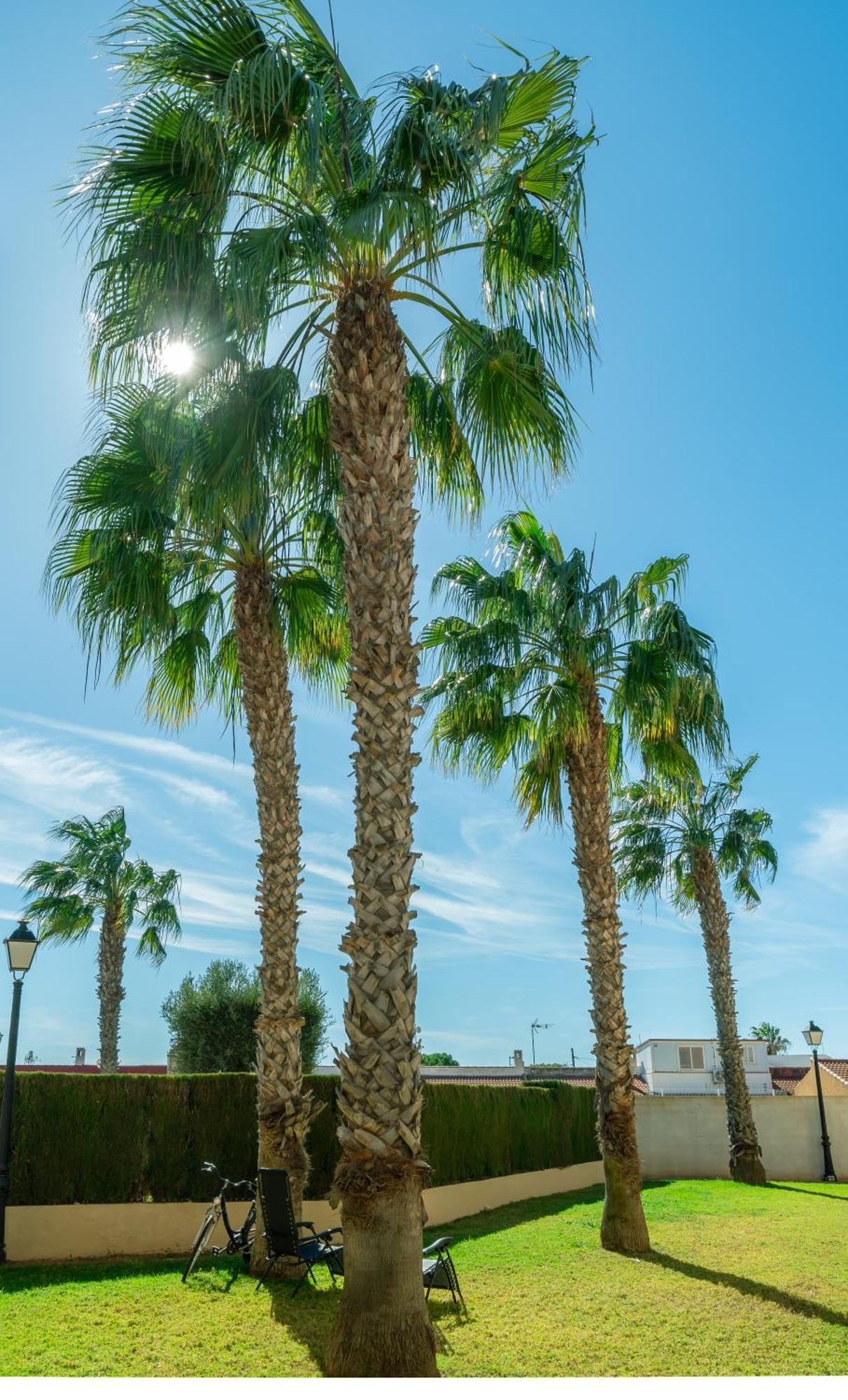 Club Salino Hideaway-Your Peaceful Retreat With Pool In Torrevieja Exterior photo